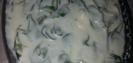 Yoğurtlu Semizotu Salatası Tarifi